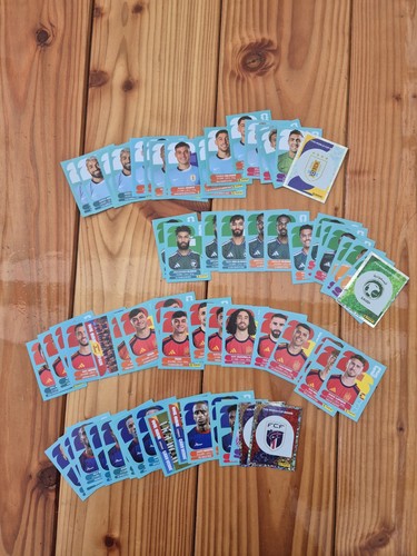 Panini 2026 sticker - panini, wm