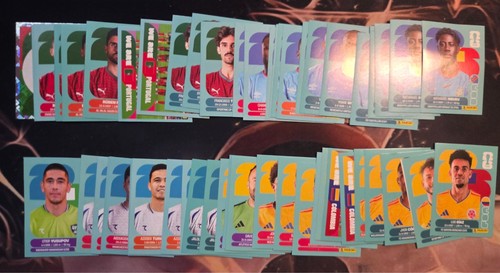 Panini sticker 2026 - panini, wm