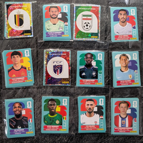 Panini sticker 2026 - panini, wm